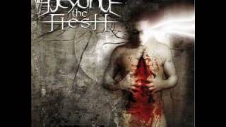 Watch Beyond The Flesh Scattered Thoughts video