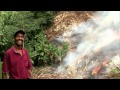 'Up in Smoke' Film Examines Perils of Slash and Burn Agriculture