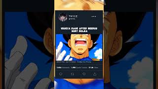 Vegeta Rage After Beerus Hurt Bulma