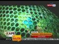 KB: Iba't ibang uri ng endangered species, nasabat sa isang DENR checkpoint sa Tayabas, Quezon
