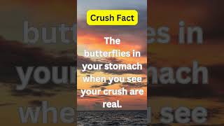 The Erflies In Your Stomach When You See Your Crush Are Real.