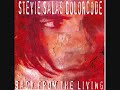 stevie salas