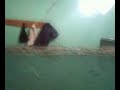 Kesting Sabun Mandi images Kesting Sabun Mandi