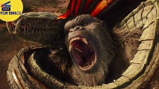 Godzilla vs Kong | Kong Evine Dönüyor | HD |