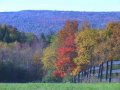 Finger Lakes Bed and Breakfast The Vagabond Inn