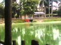 INDIAN BEAUTIFUL PARK BESIDE RAIL TRACK