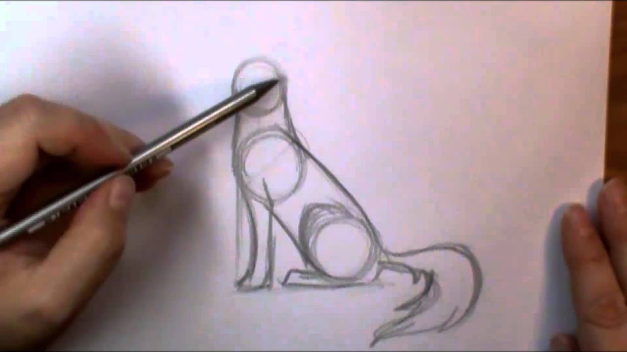 How to draw a Wolf howling - YouTube