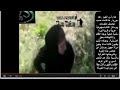 Syria Fsa Membantai Wanita images Syria Fsa Membantai Wanita