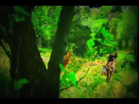 Since We Had Changed Video