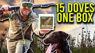 Can I Limit With One Box? Ultimate Dove Hunting Challenge
