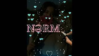 Nermi̇n Adi
