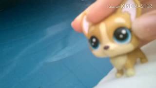 Lps - Desafio Na Piscina