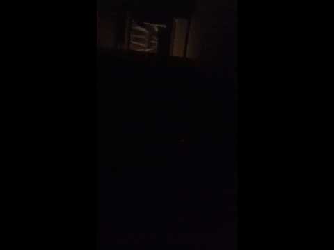 Am i a good singer? (7)