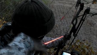 Finally November...An Arrow Is Released
