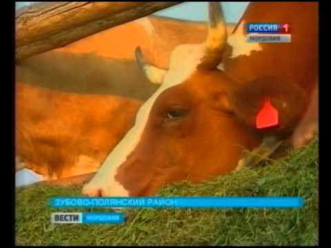 Смесители для кормов своими руками Смесители для кормов своими руками