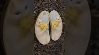 The Insane Secret Of Life Hidden Inside A Seed Watch How Germination Happens