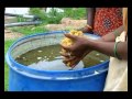 Preparation of Bio-fertilizer (Dhravajeevamrutham) - Telugu - SERP - Mehabubnagar - Andhra Pradesh