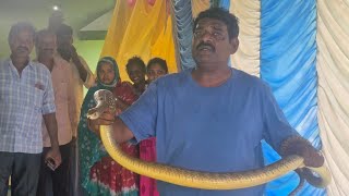 Rat Snake Rescue Snake Kiran Vizag 8866368899
