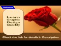 Graphic Design Softwares