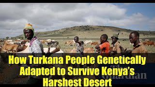 How Turkana People Genetically Adapted To Survive Kenyas Harshest Desert
