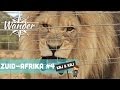 Kaj & Kaj #4: Voeren een agressieve leeuw - Wander Zuid Afrika