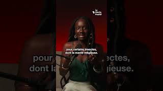 La Mante Religieuse Le Test De Grossesse Africain ?
