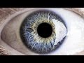 Vision Hacks You Need To See To Believe Vision Hacks You Need To See To Believe