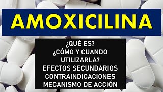 Amoxicilina Para Qué Sirve, Efectos Secundarios, Contraindicaciones, Mecanismo De Acción