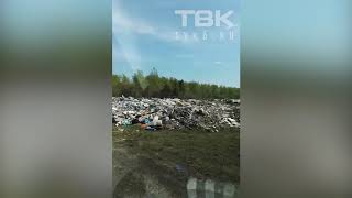 Видео Строительная свалка в Солнечном (Красноярск) от Телекомпания ТВК, Строительная улица, Красноярск, Россия