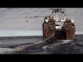pirate fishing 2