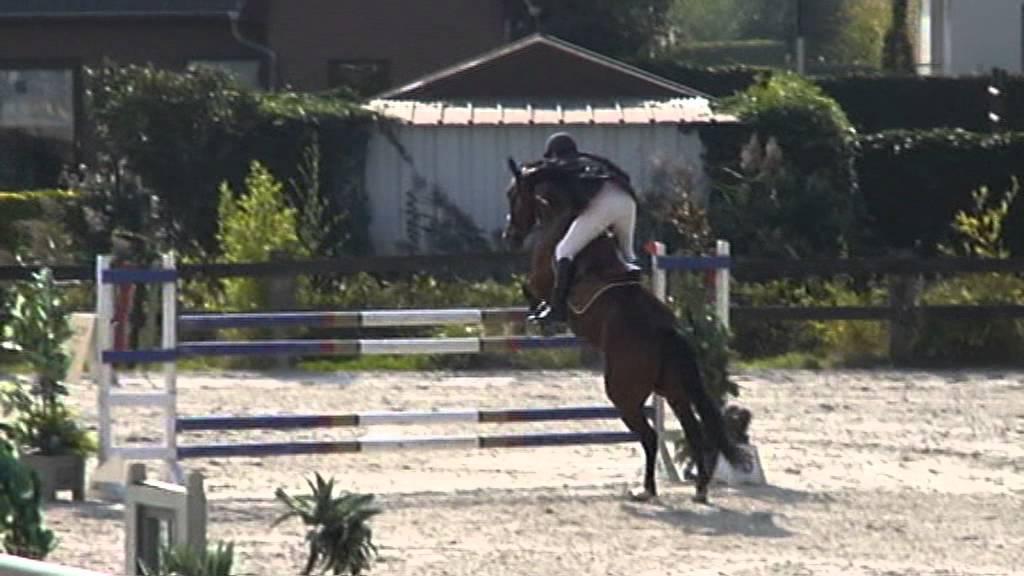 Heartbreaker x Ramiro mare