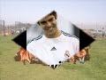 كل مرة تحط الحق عليه