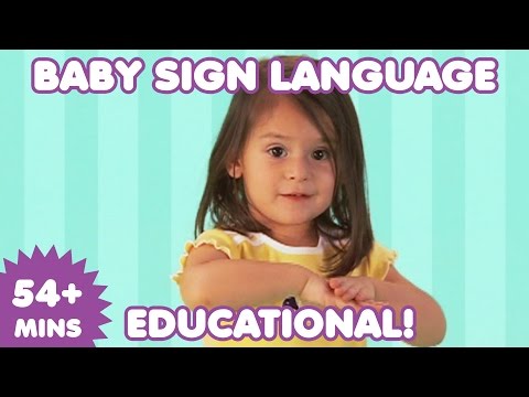 My Baby Video