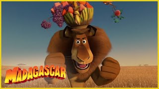 DreamWorks Madagascar en Español Latino | Sorprendido de verme | Madagascar  Esc