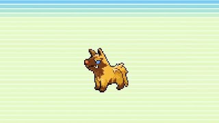 Shiny Poochyena Evolutions Pokemon Emerald Pokedex No. 010 - 011