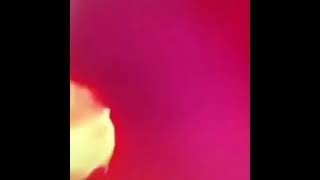 Sabahınız Xeyrli Gününüz Huzurlu Olsun Amin Status Üçün Yeni Video