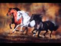 A lovak álma - Kormorán
