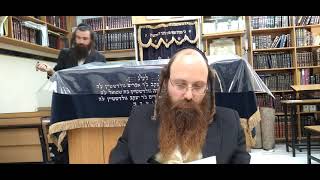 תלמוד עשר הספירות | חלק ה' | אות ד' | הרב יוחאי ימיני