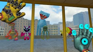 What Are All The Huggy Wuggy From Poppy Playtime Wanting To Get Me For? Garrys Mod