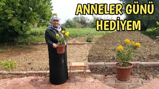 Anneler Günü Hedi̇yem Sarı Çıtır Gülüm