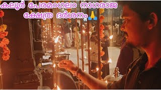 കലർ പരമഗല൦ നഗരജ കഷതര ദർശന