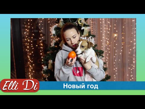 Канал элли ди новые серии 2018 года Канал элли ди новые серии 2018 года