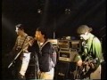 b-flower / Live 1991「日曜日のミツバチ」
