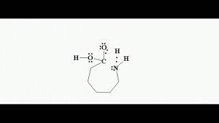 Synthesis Of Nylon