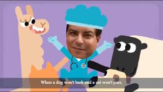SB Professions- Veterinarian