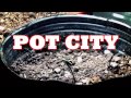 Potluck - Pot City