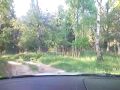 Video subaru forester light off-road