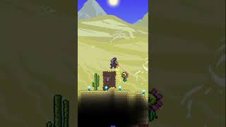 Terraria Mini Fact Ankh Shield