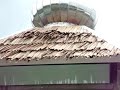 Shofi Juara I Hafidz Quran 1 Juz images Shofi Juara I Hafidz Quran 1 Juz