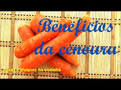 Vermes em cachorros e os seus tipos